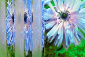 Flutes-Sandblasted.jpg